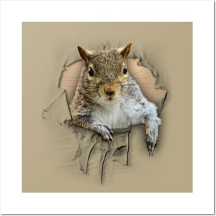 Ripped Shirt Squirrel - funny squirrel lover  Posters and Art